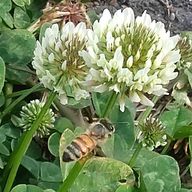 すーさんのアイコン画像