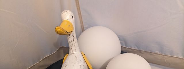 ちゃむ🍋さんの壁紙画像