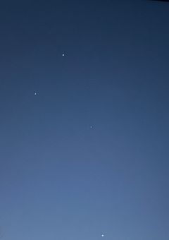 星野家末っ子歌い手兼殺し屋でした。