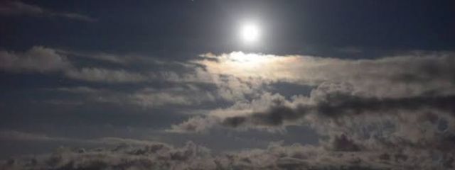 おおまめだととこさんの壁紙画像