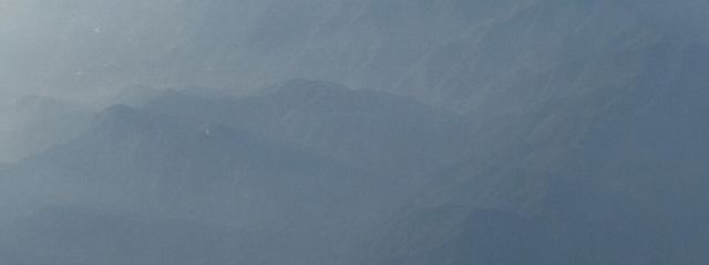 雑草さんの壁紙画像