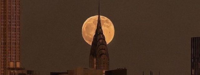 ここあさんの壁紙画像