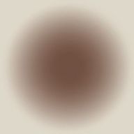 ここあさんのアイコン画像