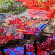 紫姫さんのアイコン画像