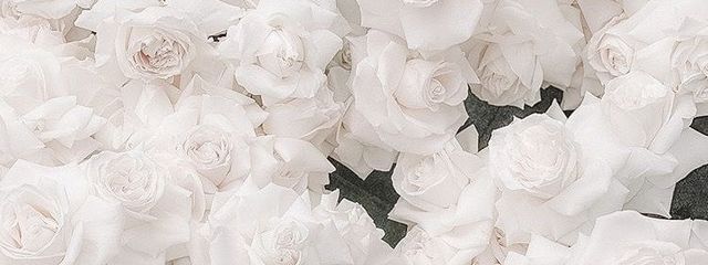 夢姫さんの壁紙画像