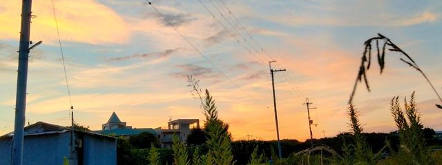 月島   零(元、愛鈴(ﾟ∀。*))さんの壁紙画像