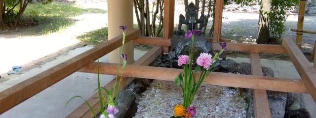 💚ちえ💚さんの壁紙画像