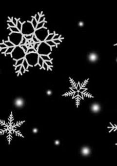 宵の明星 【 引退作 】