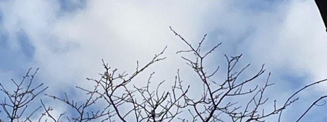 LUNAさんの壁紙画像