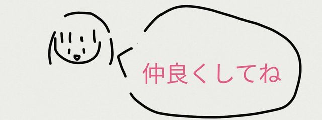 れいぴょん♡@永久活動休止さんの壁紙画像