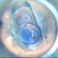 つなまよこーんさんのアイコン画像