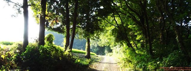 Furuさんの壁紙画像