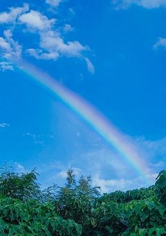 下手っぴだけど恋をする。