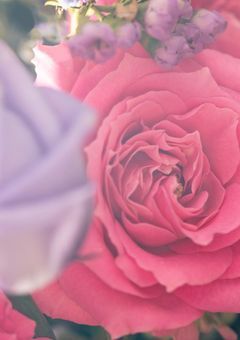 愛して、愛されて