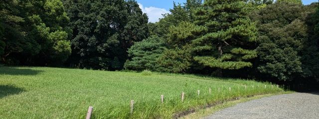 ユウさんの壁紙画像