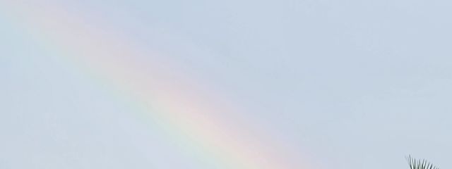 Natoさんの壁紙画像