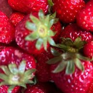 🍡さんのアイコン画像