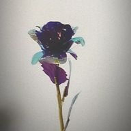 梅干し。Yuikaさんのアイコン画像