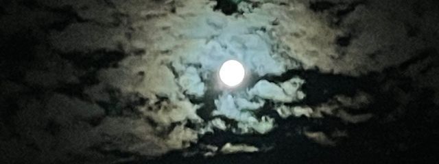 普さんの壁紙画像