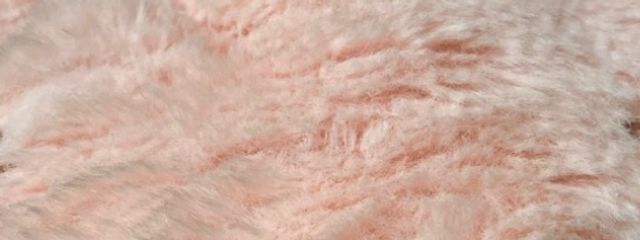 織田 海堂さんの壁紙画像