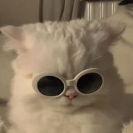 とっく🐱💭さんのアイコン画像