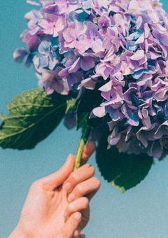 消えないでね、