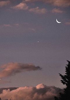 ９人の ボディーガード .