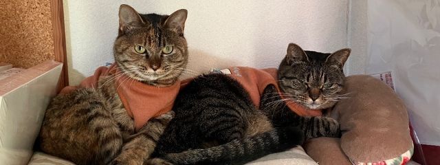 𝐙𝐄𝐑𝐎 🗝さんの壁紙画像