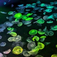 mumu🐮💛☃️🧡さんのアイコン画像