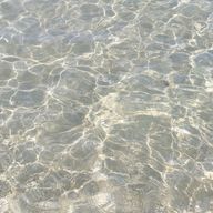 💎🦔🐶🐯🐨🍀🦁🤖🦊🐰🦋🐺🐮💎さんのアイコン画像