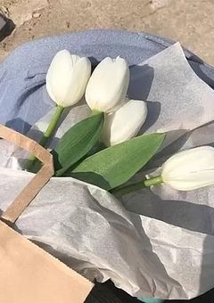 にゃんにゃんの作詞部屋　😺💙