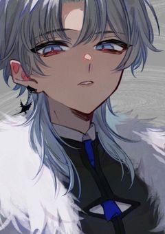 ある双子の物語