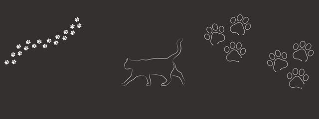 白鷺紗雪さんの壁紙画像