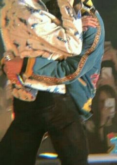 🐯🐰4月13日～5月12日まで全体公開