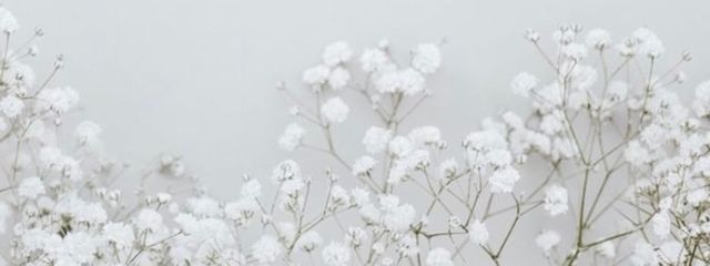 K o y u .さんの壁紙画像