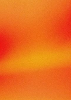 仔犬との戯れ。