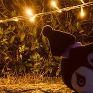 ( ᐛ )さんのアイコン画像