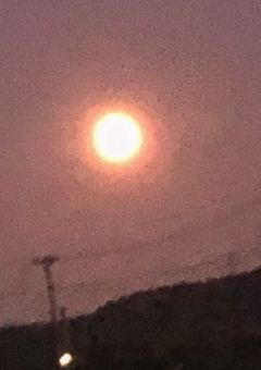 他のこと考えてたでしょ
