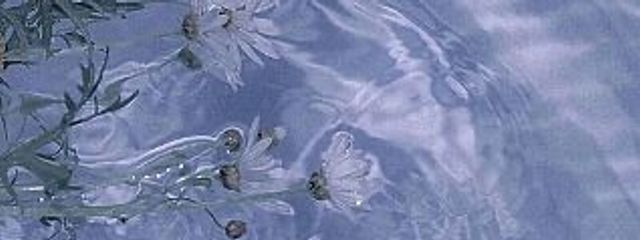 愛姫さんの壁紙画像