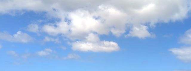 桜神翼(生きてます)さんの壁紙画像