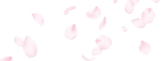 夜月 レイカさんの壁紙画像