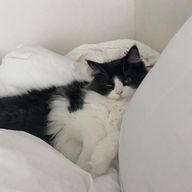 ミさんのアイコン画像