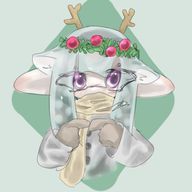 いるかさんのアイコン画像