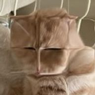 ほののさんのアイコン画像