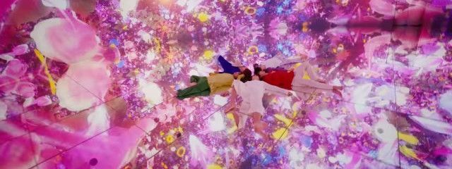 梅さんの壁紙画像