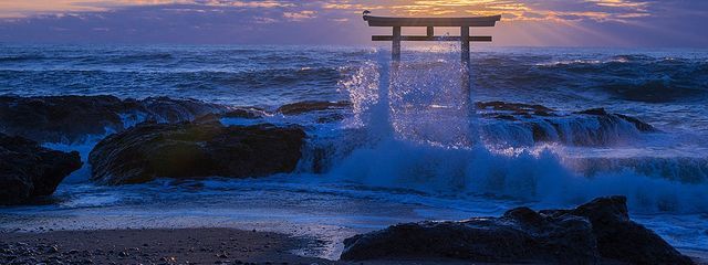 心さんの壁紙画像