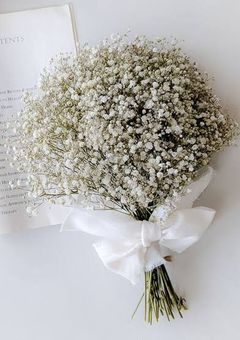 あなたたちのことが...。 大好き“だったよ”...。