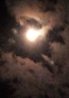 私には、生まれた意味などなかったのね...。