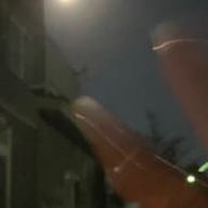 ここさんのアイコン画像