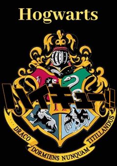 ハイキューハリポタパロ𓅓